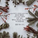 큐티하랑 이미지
