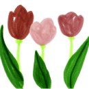 상무초밥 등촌점 이미지