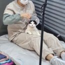 그루머스 스튜디오 이미지