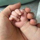 신생아 손톱 언제 깎지? 베비노 손톱깎기 후기 꿀팁