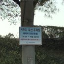 맛누리(주) | 수원 뼈찜 맛집 추천 맛누리뼈찜감자탕 주차 웨이팅 유튜버 박홍 맛집 존맛 맵찔이의 데이트