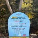 양지목장 | 의령 야베스목장 피자 아이와 체험 야베스팜 후기