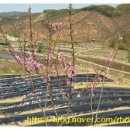 모단농장 이미지