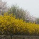 달빛 1교 이미지