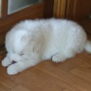 우리두리농장 이미지