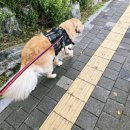 우리애동물병원 이미지