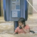 지선농장 이미지