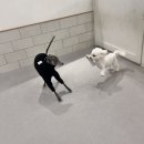 바우스쿨 이미지