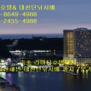 속초문어왕