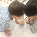 오늘선식 | [스승의 날] 선생님의 건강한 아침을 위한 '튼튼곡물마을' 요일 선식 선물 후기