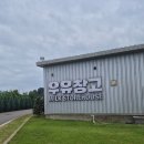 시선목장 | 보령 가볼 만한 곳, 목장 체험과 카페를 동시에! '우유창고' 내돈내산 솔직 후기