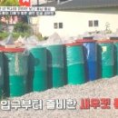 충남새우젓상회 이미지