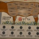 횡성축협한우프라자 본점 정육 식당 내돈내산 후기