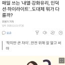 주방에서 쓰는 인덕션과 하이라이트 차이 이미지