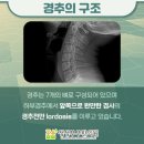 정성부부한의원 이미지