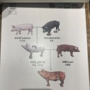 [포항 금고] 포항 대이동 고깃집 금돼지고깃집
