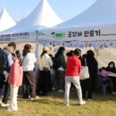 은행나무길(문화재단앞) 이미지