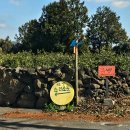 도보책방 | 제주에서 만난 작은 힐링 공간 소리소문 책방 방문 후기