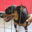 김정복동물병원 이미지