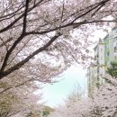 방화근린공원 관리사무소 이미지