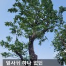 호프나라 - 화천군 사내로7길 3 | 호프나라