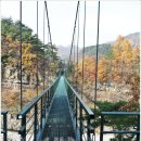 ☆―------3 주정기산행 제178차 11월 정기산행 팔각산(628m) 이미지