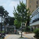 등촌역 8번출구 이미지