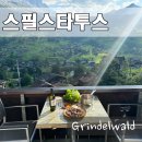 스타투스 | 스위스 여행 그린델발트 숙소 스필스타투스 샬레 : 시설 포토존 등 상세한 후기