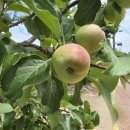 용연1통마을회관 이미지