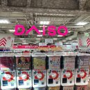 터미널 오락실 | 후쿠오카 DAY 5_하카타역에서 뭐 하지?｜다이소 털기 &amp; 남코 오락실 구경 후기