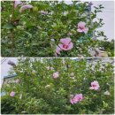 한산1리 이미지