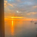 피스하우징(평화주택) 이미지