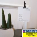 샌드블랑 이미지