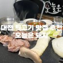 오늘돼지 이미지