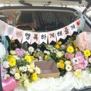 플로피아 이미지