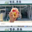 달콤푸릇포항오천문덕점
