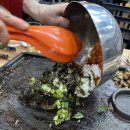 천연애성서점 이미지