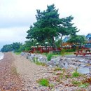 노을빛진산 | 태안해루질펜션 그림속풍경 태안조개잡이펜션 맛조개잡는곳 포인트