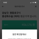 보고펫