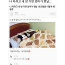 매직터치옥수 | [공지] 아기다리 고기다리던 일상 블로그