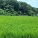 능포초등학교 병설유치원 이미지