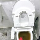 변기막힘 네이버블로그