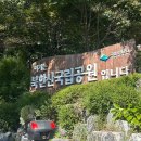 웅토바이