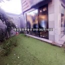 테라스애견미용카페 이미지