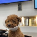 웰케어메디 이미지