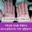 류마앤장내과의원 이미지