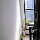 프라미스모텔 이미지