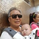 안성흑염소농장 이미지