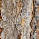 너랑나랑어린이공원 이미지