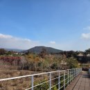 풍림카서비스 | 제주기록4 _ 02